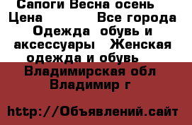 Сапоги Весна осень  › Цена ­ 1 700 - Все города Одежда, обувь и аксессуары » Женская одежда и обувь   . Владимирская обл.,Владимир г.